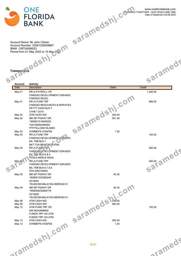 USA One Florida Bank statement